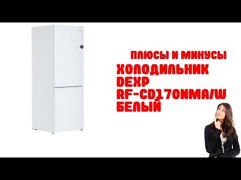 «бирюса» или «атлант»: какой холодильник лучше выбрать, обзор популярных моделей