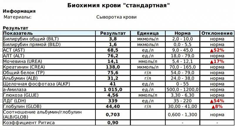 L-карнитин: отзывы врачей и при похудении, цена, как принимать, инструкция по применению - medside.ru