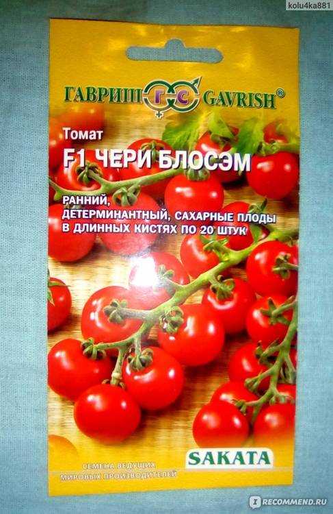 Новые и классические сорта томатов черри для выращивания на даче на supersadovnik.ru