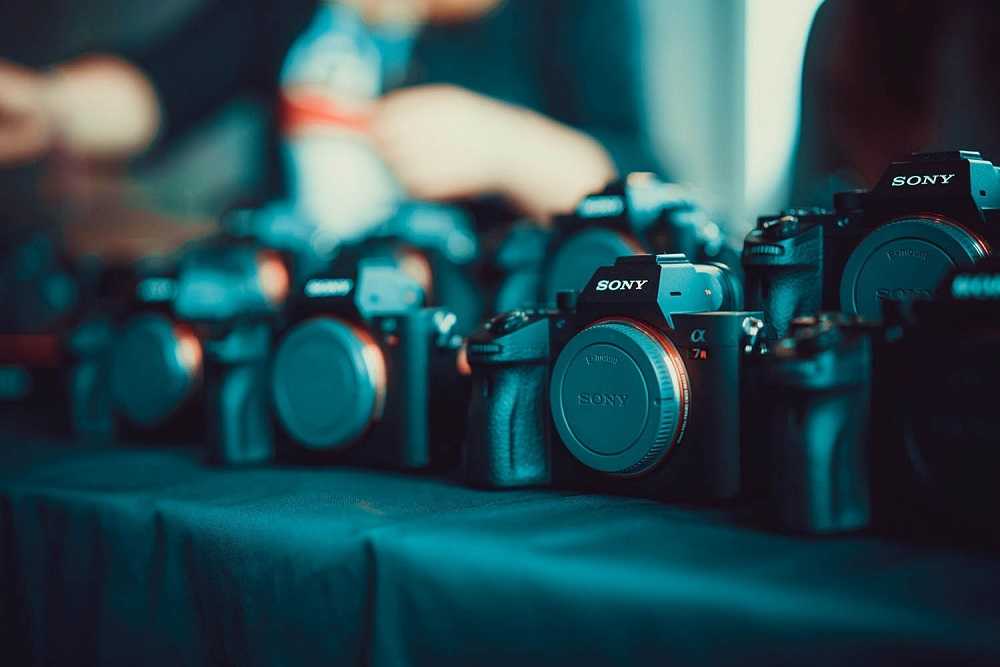 Топ-10 лучших фотоаппаратов для начинающих – рейтинг 2020 года