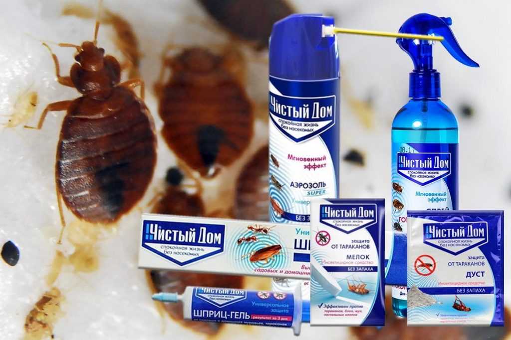 Какое средство от домашних тараканов самое лучшее, эффективное и безопасное