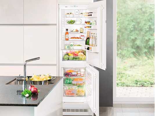 Холодильники hotpoint-ariston: обзор 10-ки лучших моделей + советы по выбору