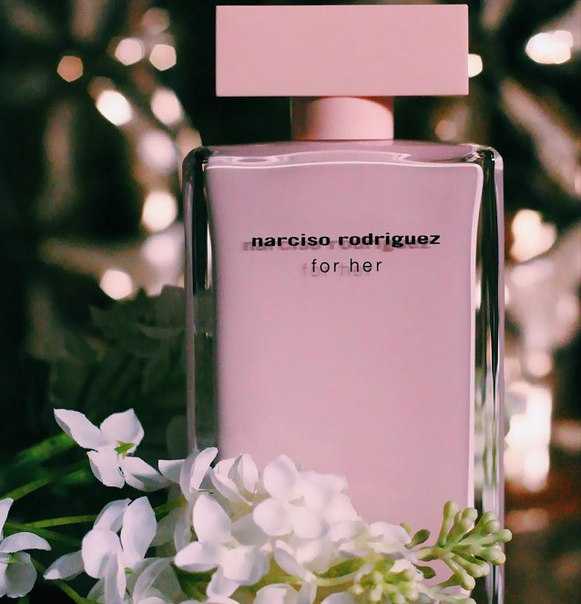 Narciso rodriguez  for her eau de parfum — аромат для женщин: описание, отзывы, рекомендации по выбору