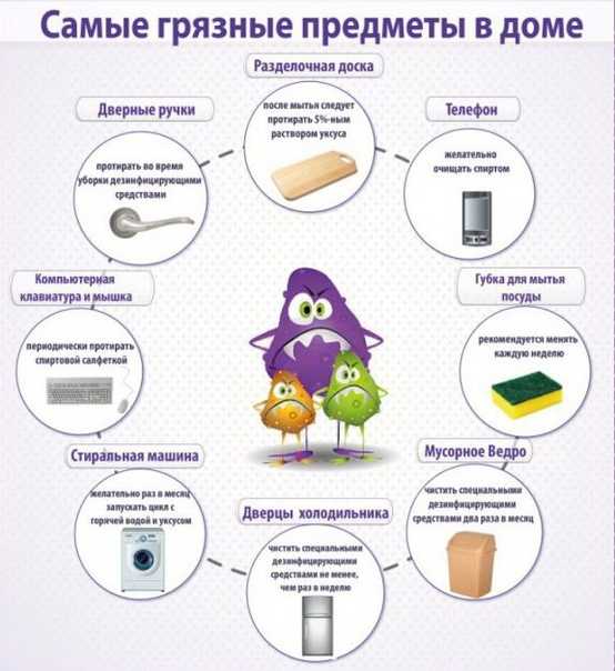 Какие места в доме нужно чистить особенно тщательно, чтобы предотвратить размножение бактерий? ТОП 15 самых опасных мест в доме.