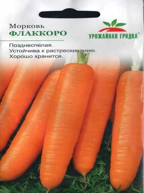 Лучшие ранние сорта моркови для регионов россии