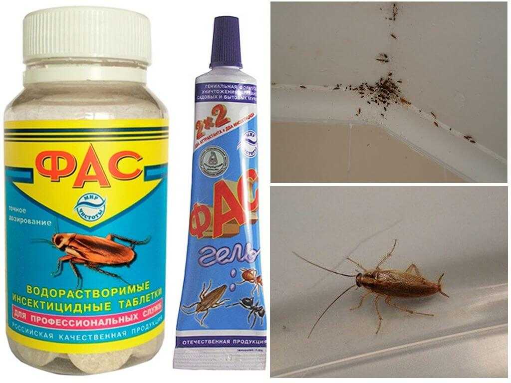 ❶ топ-15 эффективных порошков от тараканов: названия в аптеке, отзывы о средстве, где купить, инструкция, плюсы и минусы