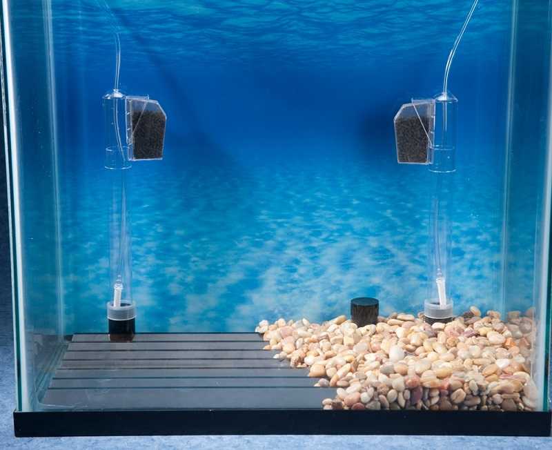 Обзор лучших фильтров для аквариумов со всеми достоинствами и недостатками