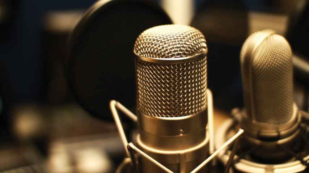 Рейтинг топ 10 лучших конденсаторных микрофонов: какой выбрать, отзывы, цена