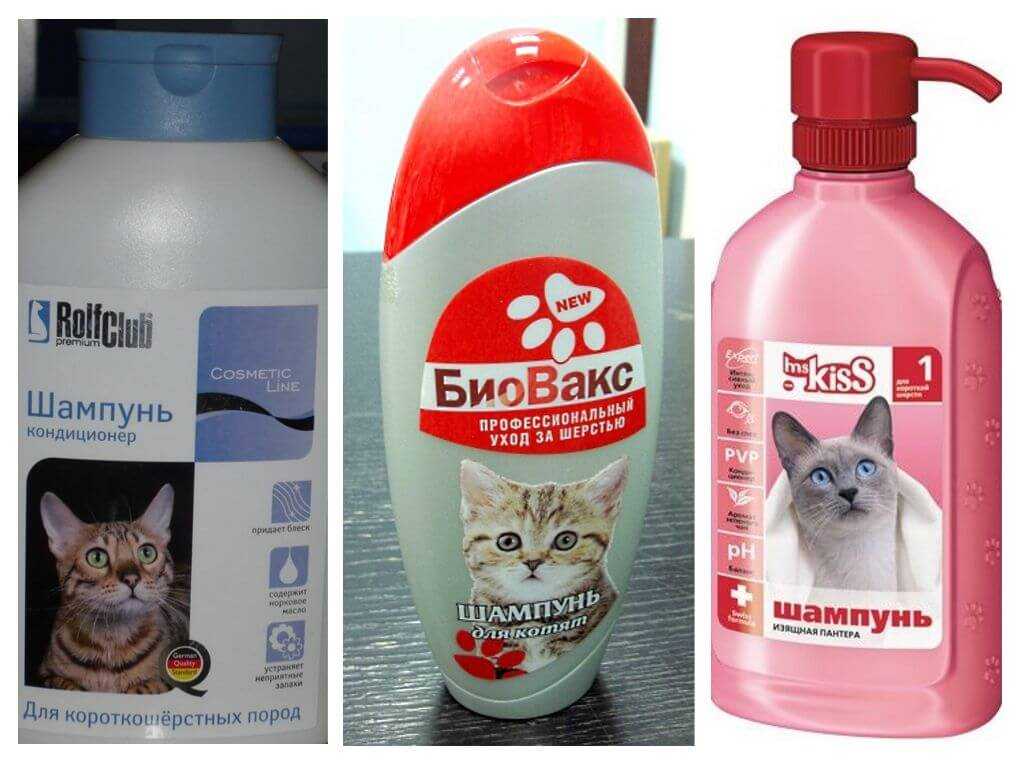 🧼 как выбрать лучший шампунь от блох для кошек